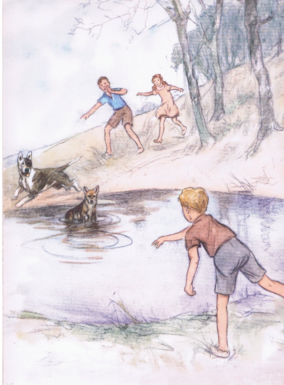 Nello stagno, da Pets Limited pubblicato da Collins da George Vernon Stokes