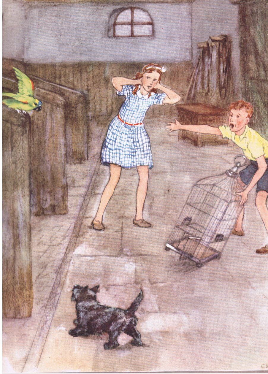 Il pappagallo cominciò a dire cose sgarbate, da Pets Limited pubblicato da Collins da George Vernon Stokes
