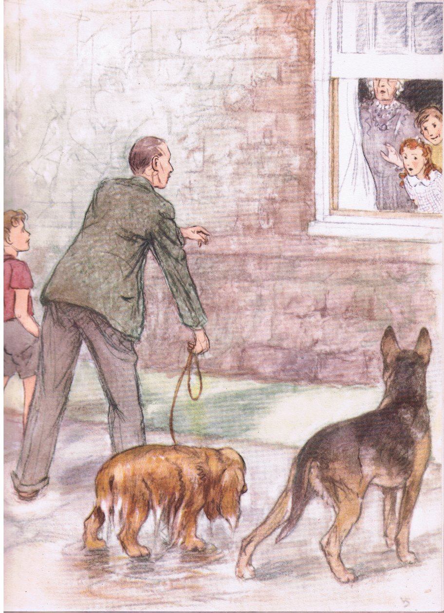 Gli spaniel erano grondanti di fango e melma, da Pets Limited pubblicato da Collins da George Vernon Stokes