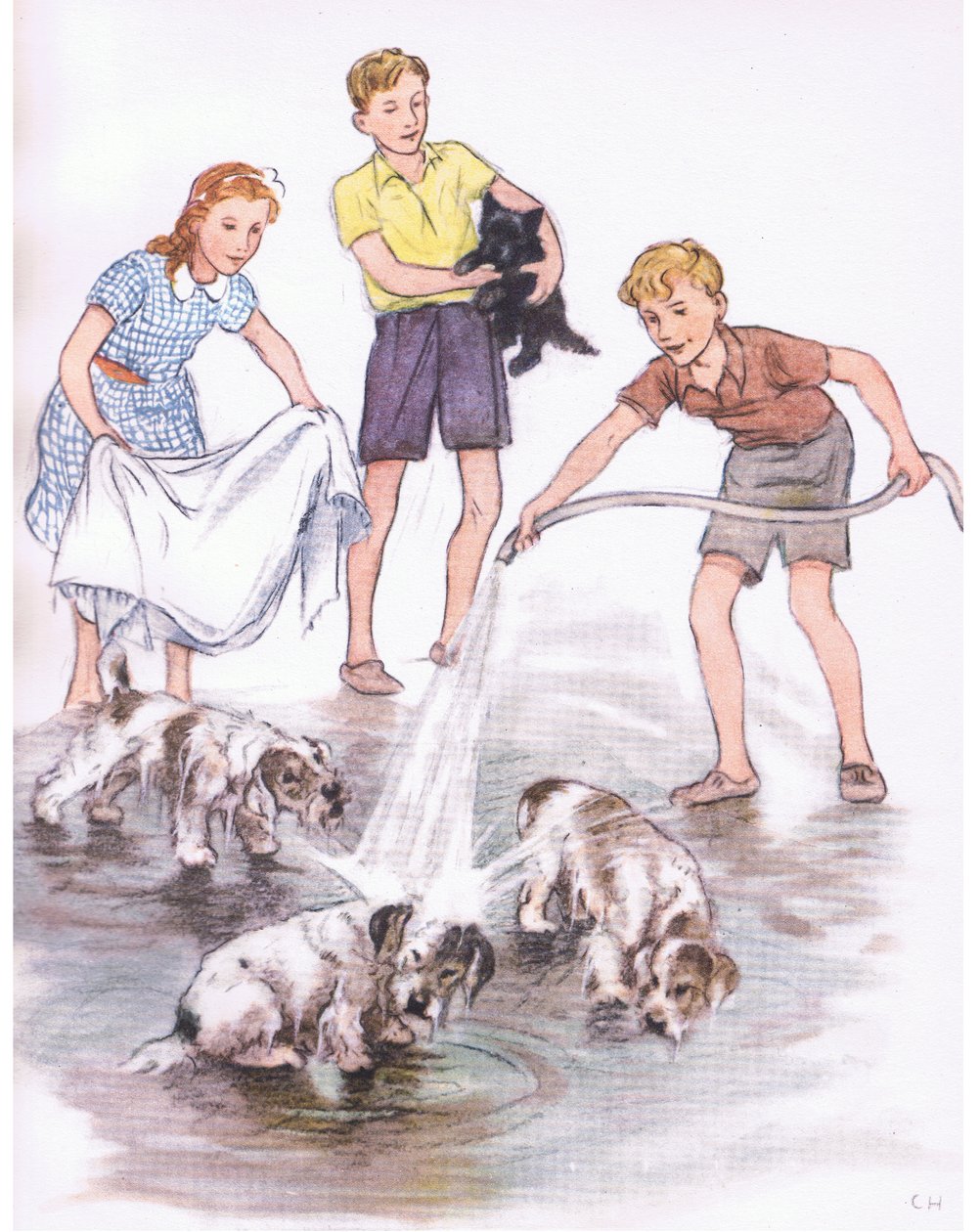 Lavare i cani, da Pets Limited pubblicato da Collins da George Vernon Stokes