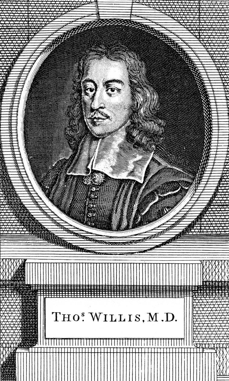 Thomas Willis, medico inglese del XVII secolo, 1742 da George Vertue