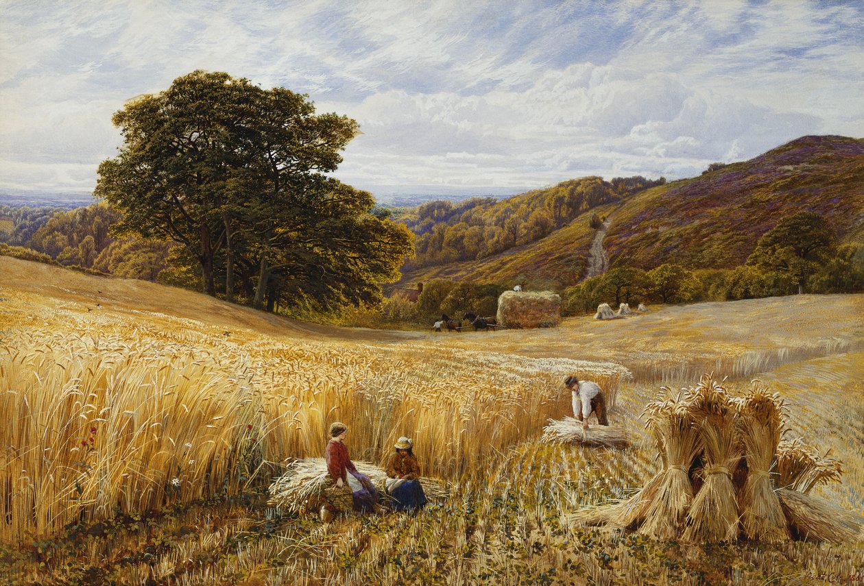 Tempo di raccolta vicino a Holmbury Hill, Surrey da George Vicat Cole