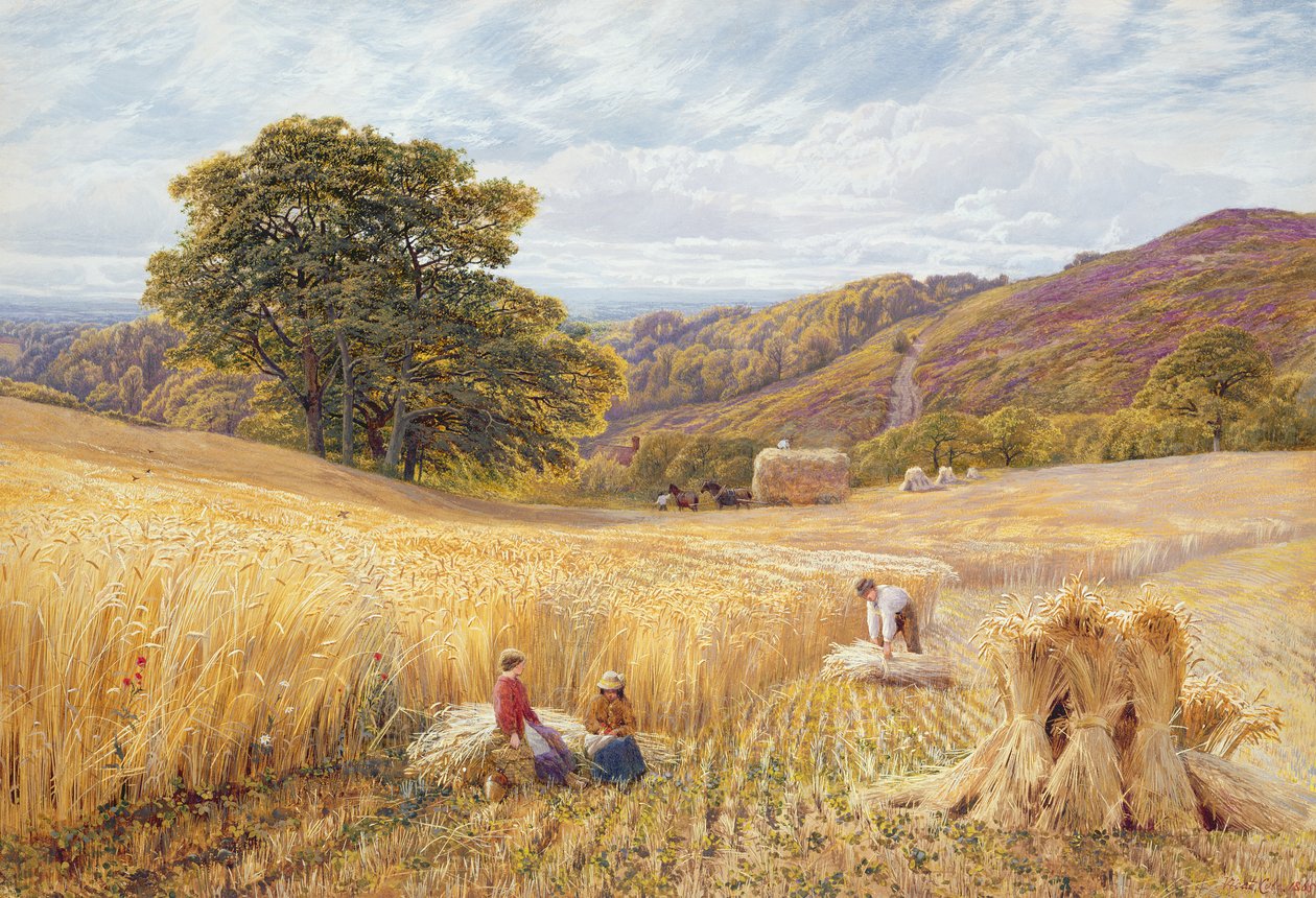 Tempo di raccolta vicino a Holmbury Hill, Surrey da George Vicat Cole