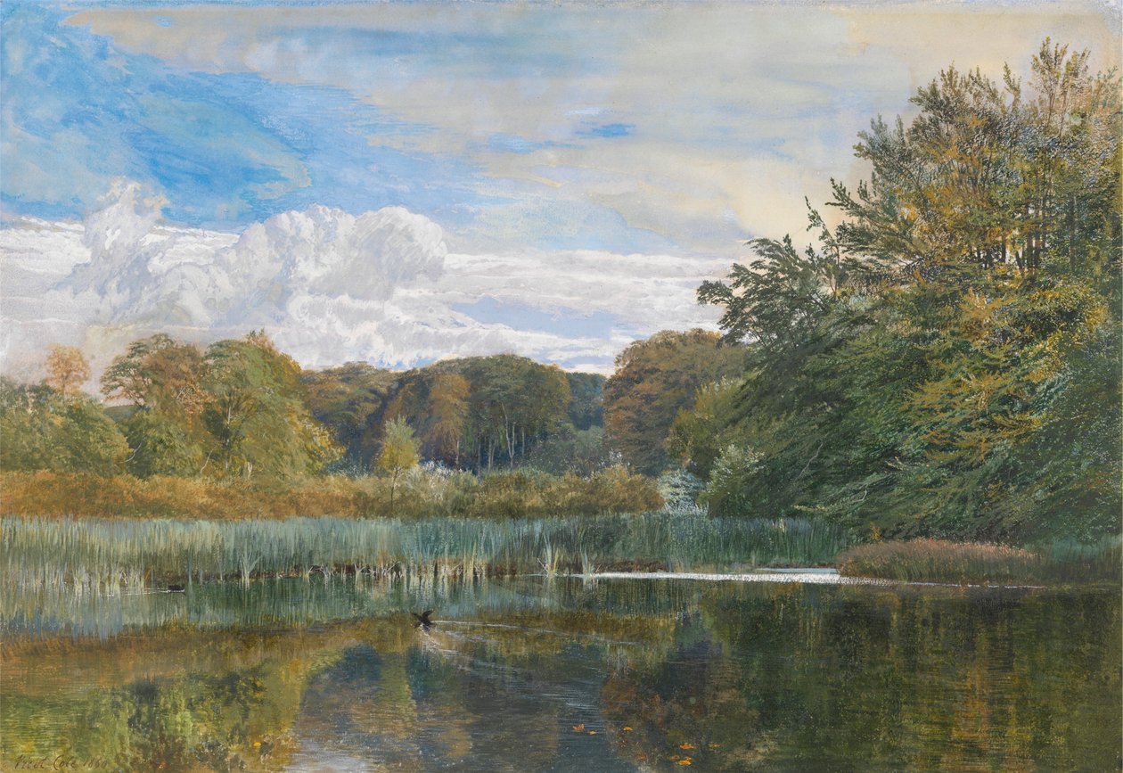 Lo stagno del mulino, Evelyn Woods da George Vicat Cole