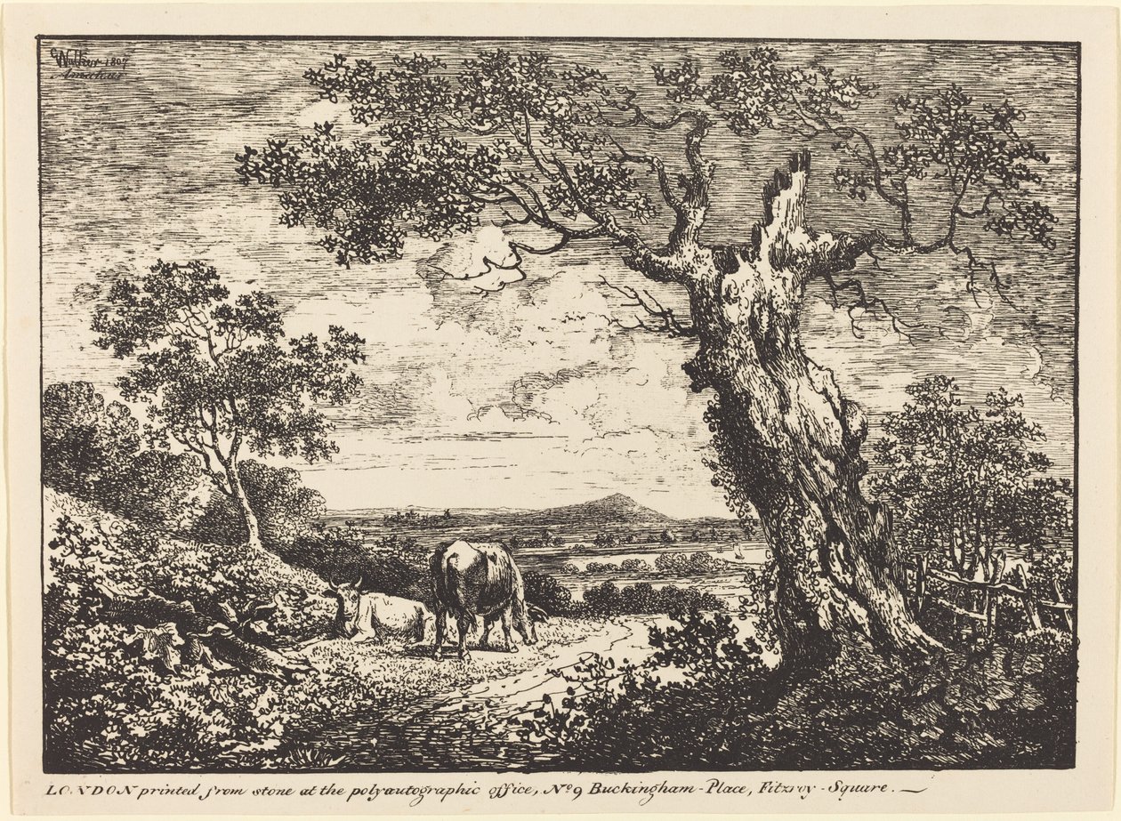 Paesaggio con due mucche da George Walker