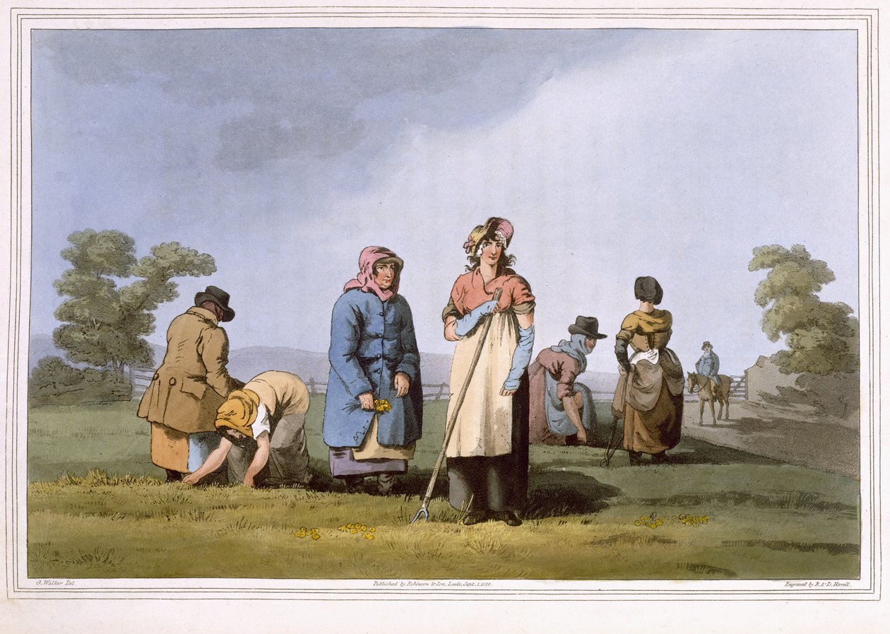 Lowkers, inciso da Robert Havell il Vecchio, pubblicato nel 1814 da Robinson e Son, Leeds da George Walker