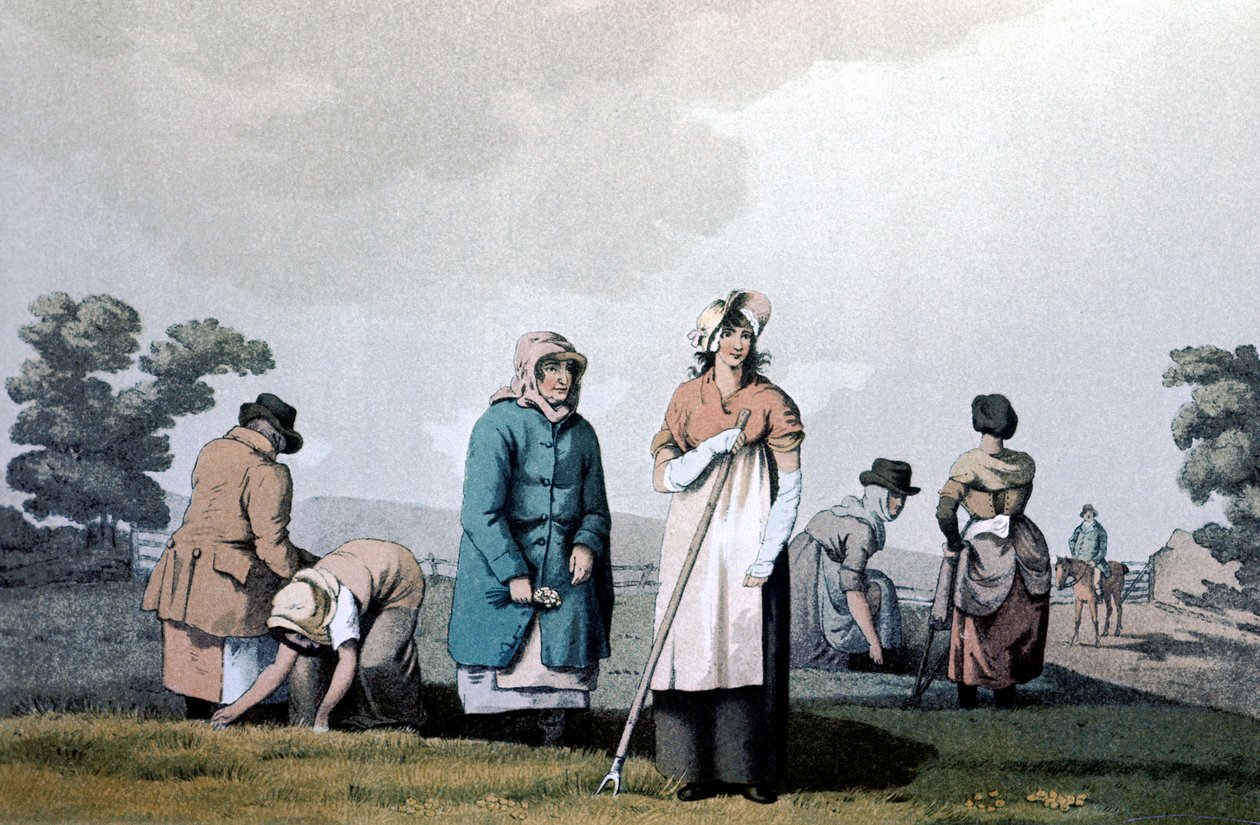 Lowkers - donne che diserbavano il mais da George Walker of Seacroft
