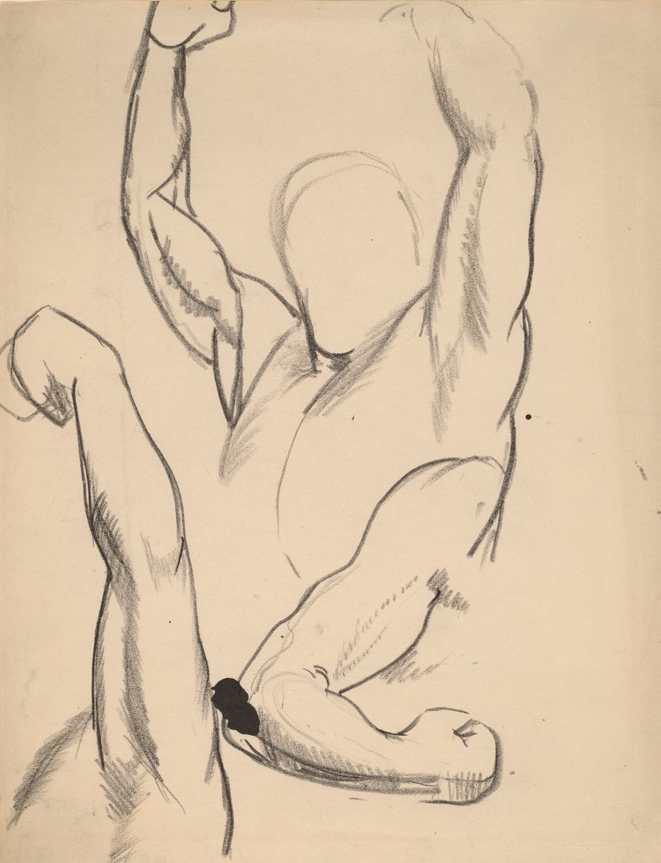Braccia di un pugile, 1916 da George Wesley Bellows