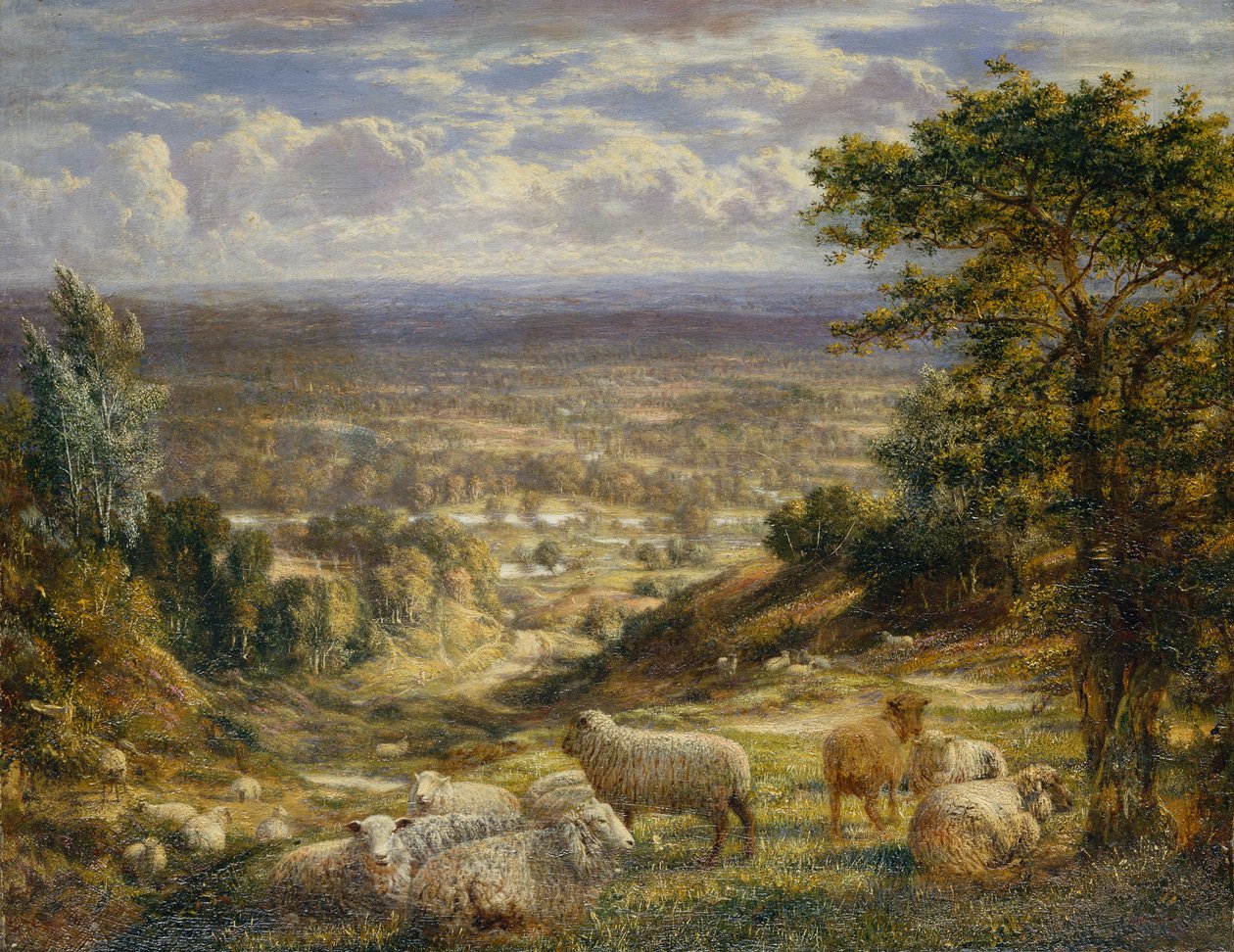 Paesaggio estivo con pecore da George William Mote