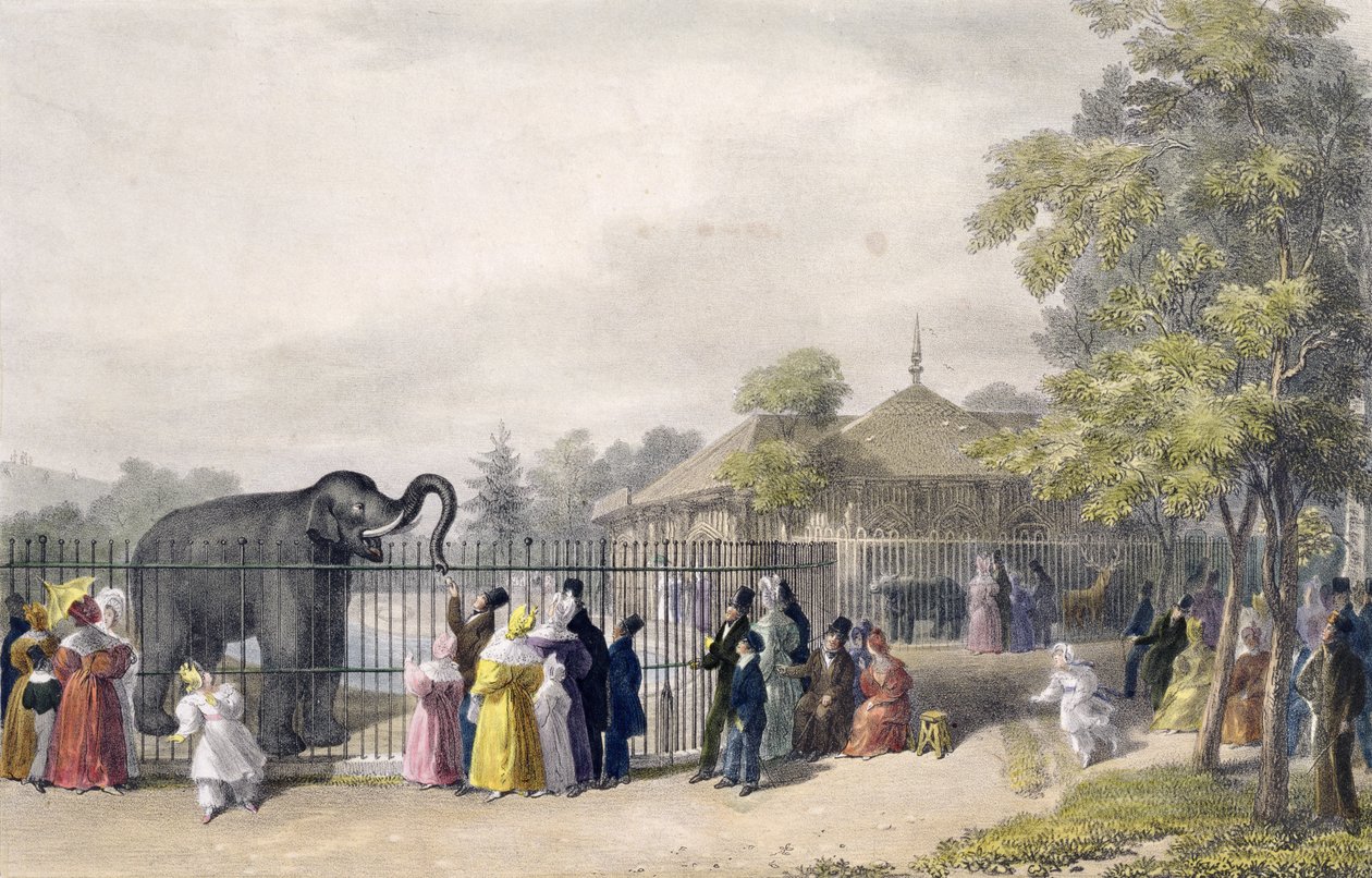 La casa degli elefanti ai Giardini Zoologici, Regent