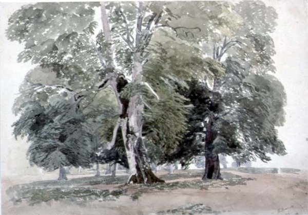 Studio di alberi da George the Younger Barret