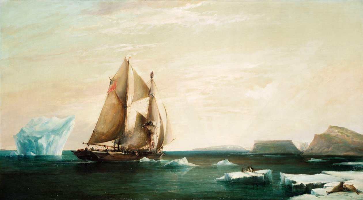 Lo yacht 