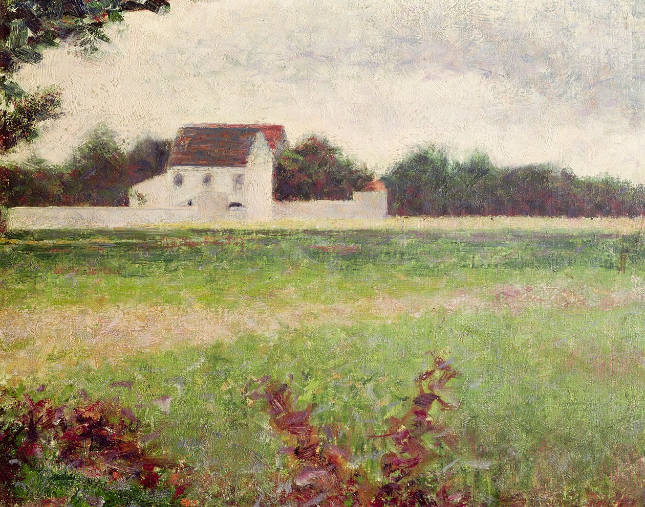 Paesaggio nell