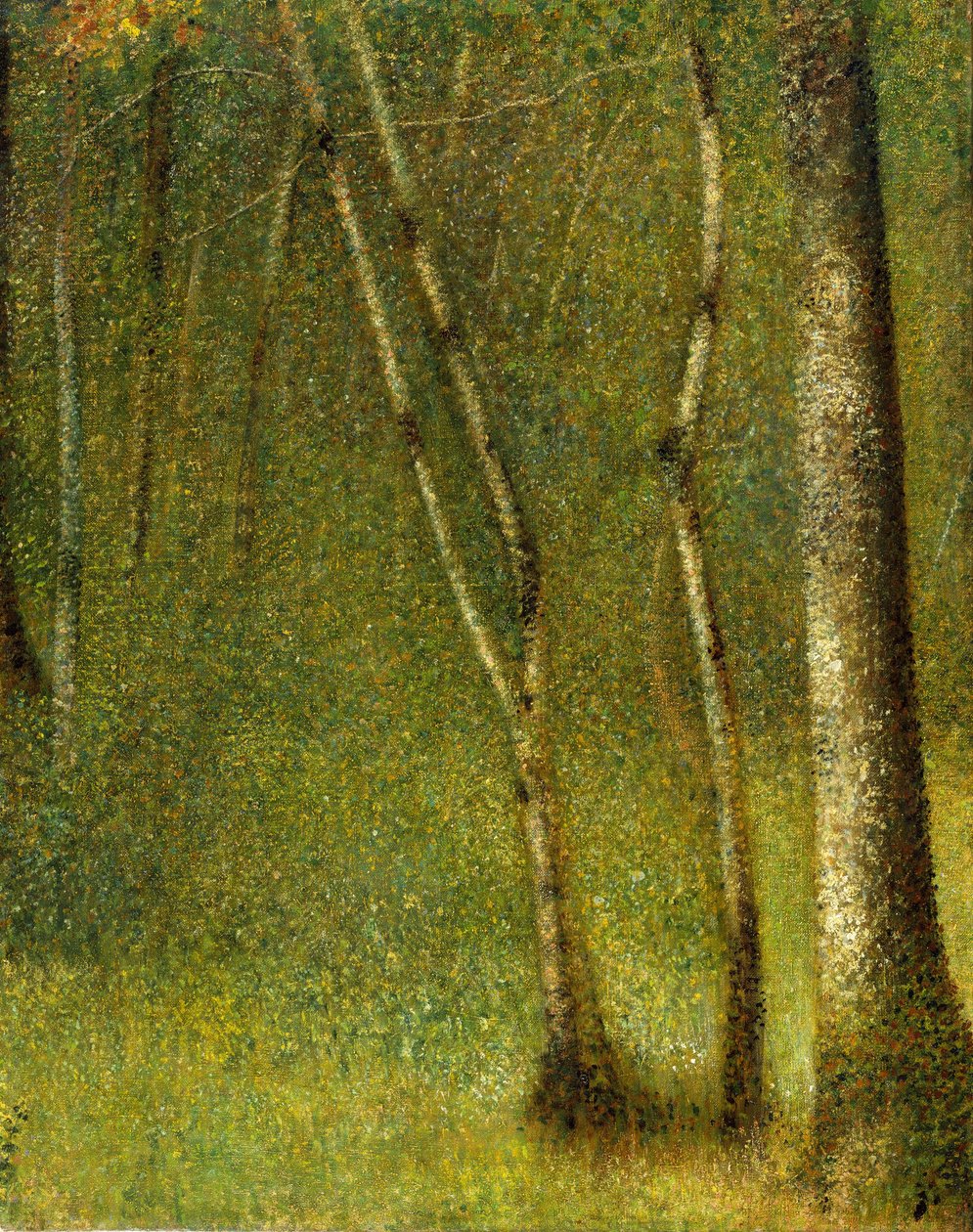 La Foresta a Pontaubert, 1881 da Georges Pierre Seurat