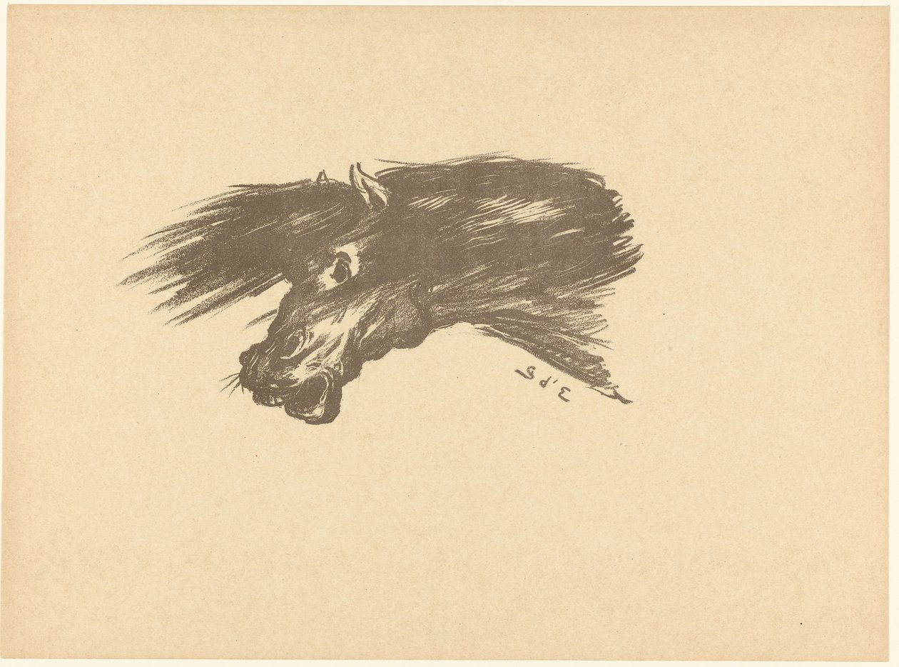 Testa di cavallo da Georges d