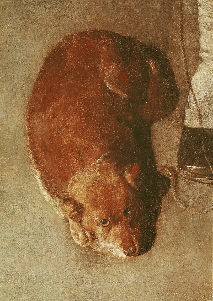 Il suonatore di ghironda con il suo cane, c.1620 (dettaglio) da Georges de La Tour