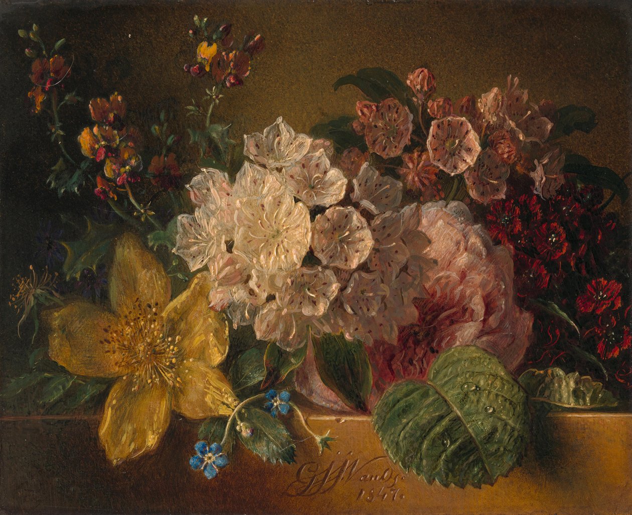 Fiori da Georgius Jacobus Johannes van Os