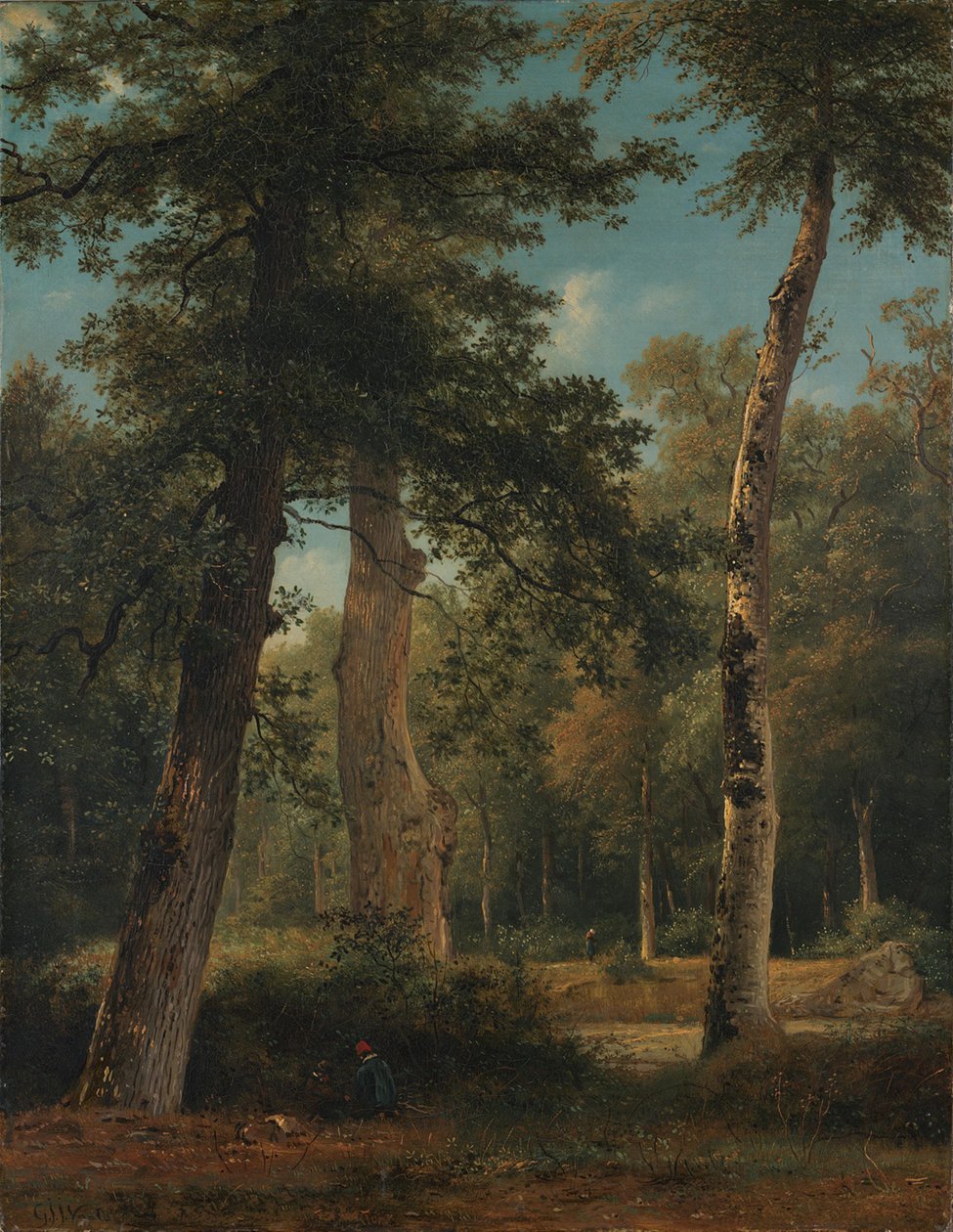 Un bosco a Fontainebleau da Georgius Jacobus Johannes van Os