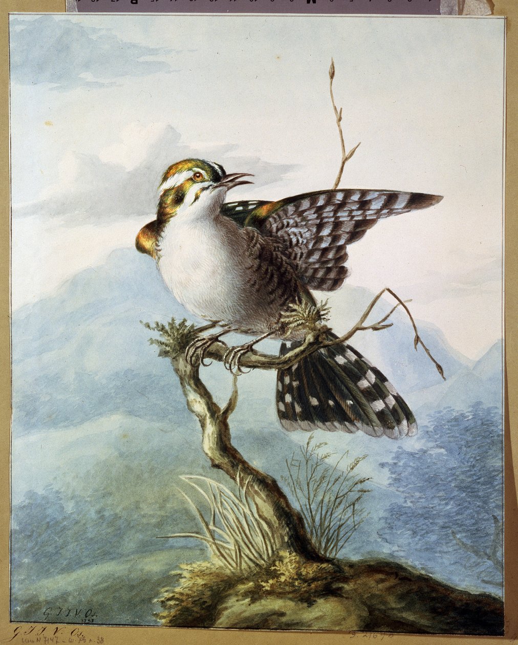 Un piccolo uccello da Georgius Jacobus Johannes van Os