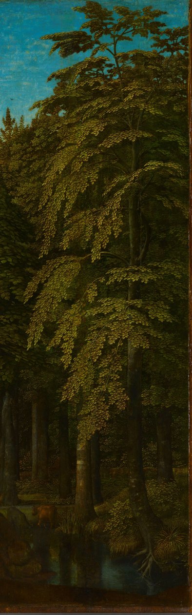 Äußere rechte Flügel eines Triptychons mit Blick in einen Wald da Gerard David