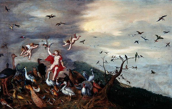 Aria da Gerard Hoet