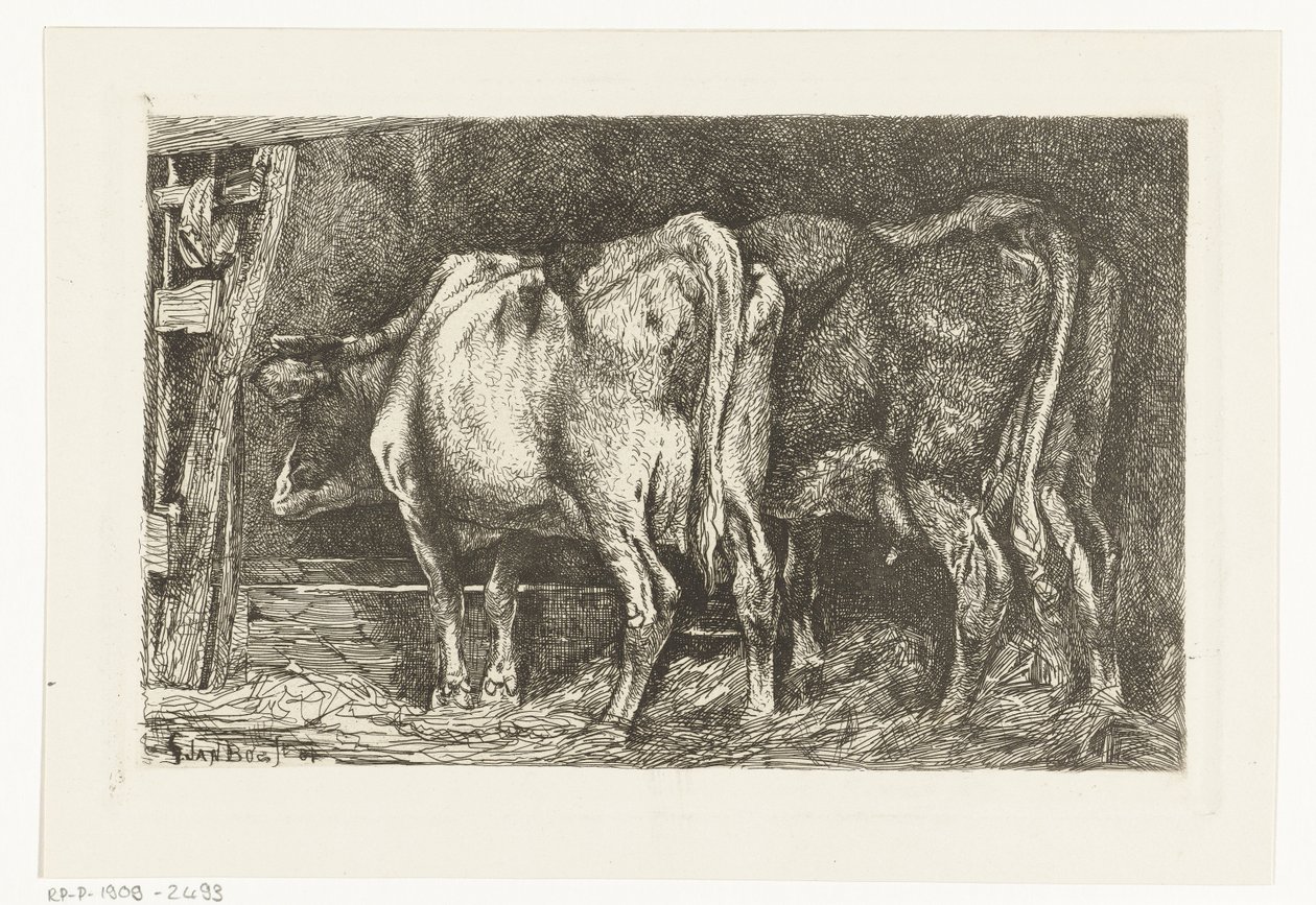 Due mucche vicino a una mangiatoia da Gerard Jan Bos