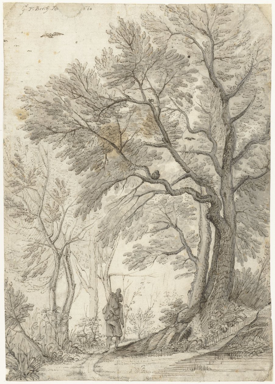 Bosco della Villa Madama fuori Roma da Gerard ter Borch