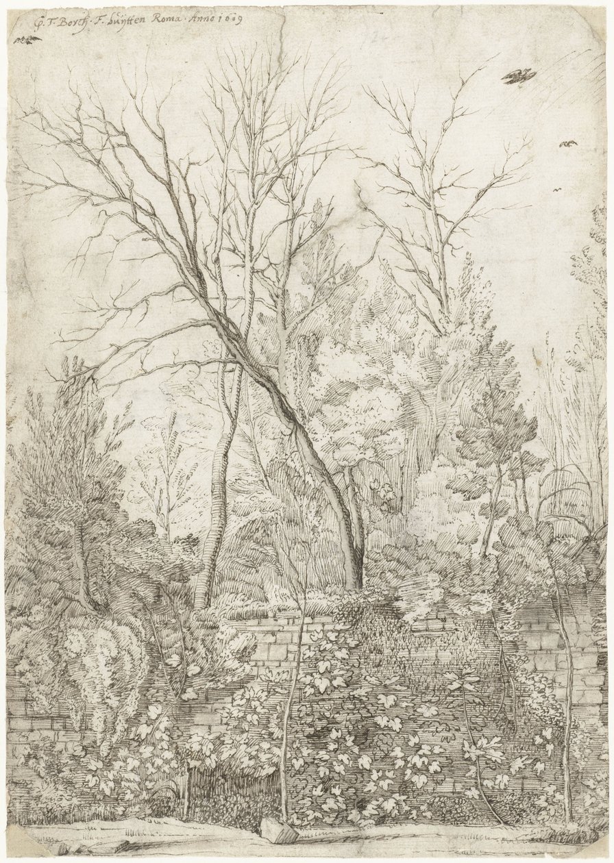 Giardino della Villa Madama, fuori Roma da Gerard ter Borch