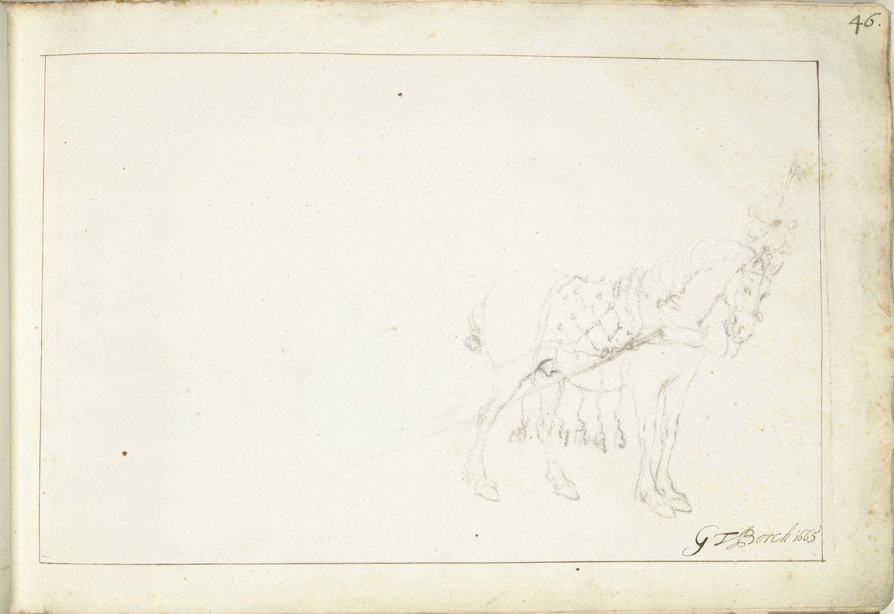 Cavallo, verso destra da Gerard ter Borch (II) (signed by artist)