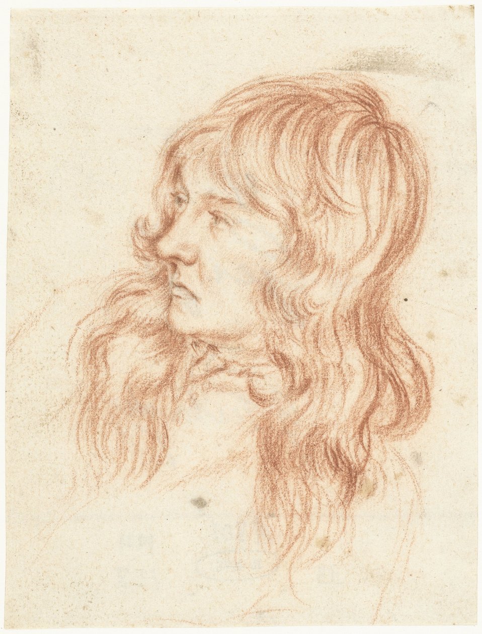 Testa di un giovane, verso sinistra da Gerard ter Borch (II)
