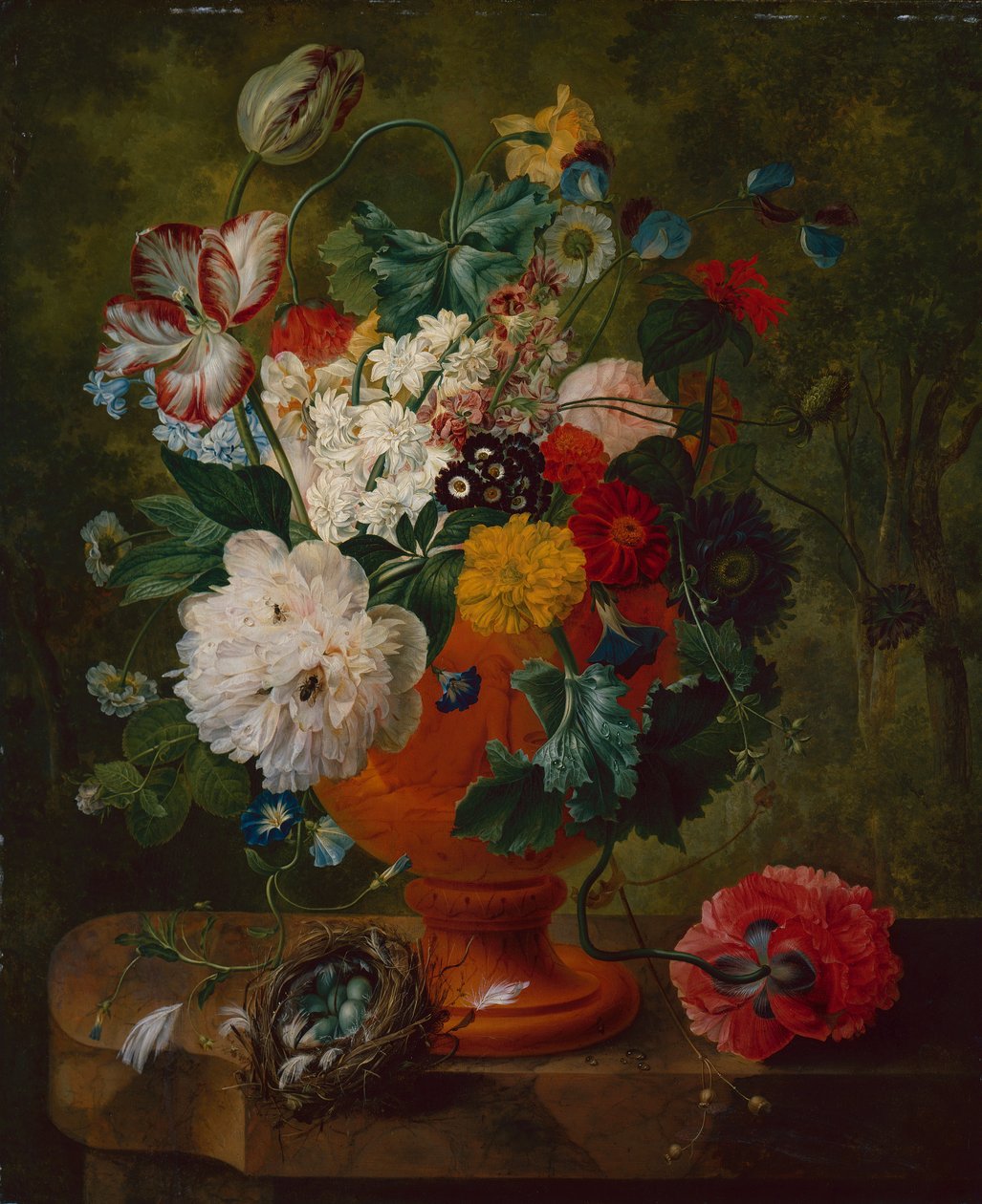 Fiori estivi in un
