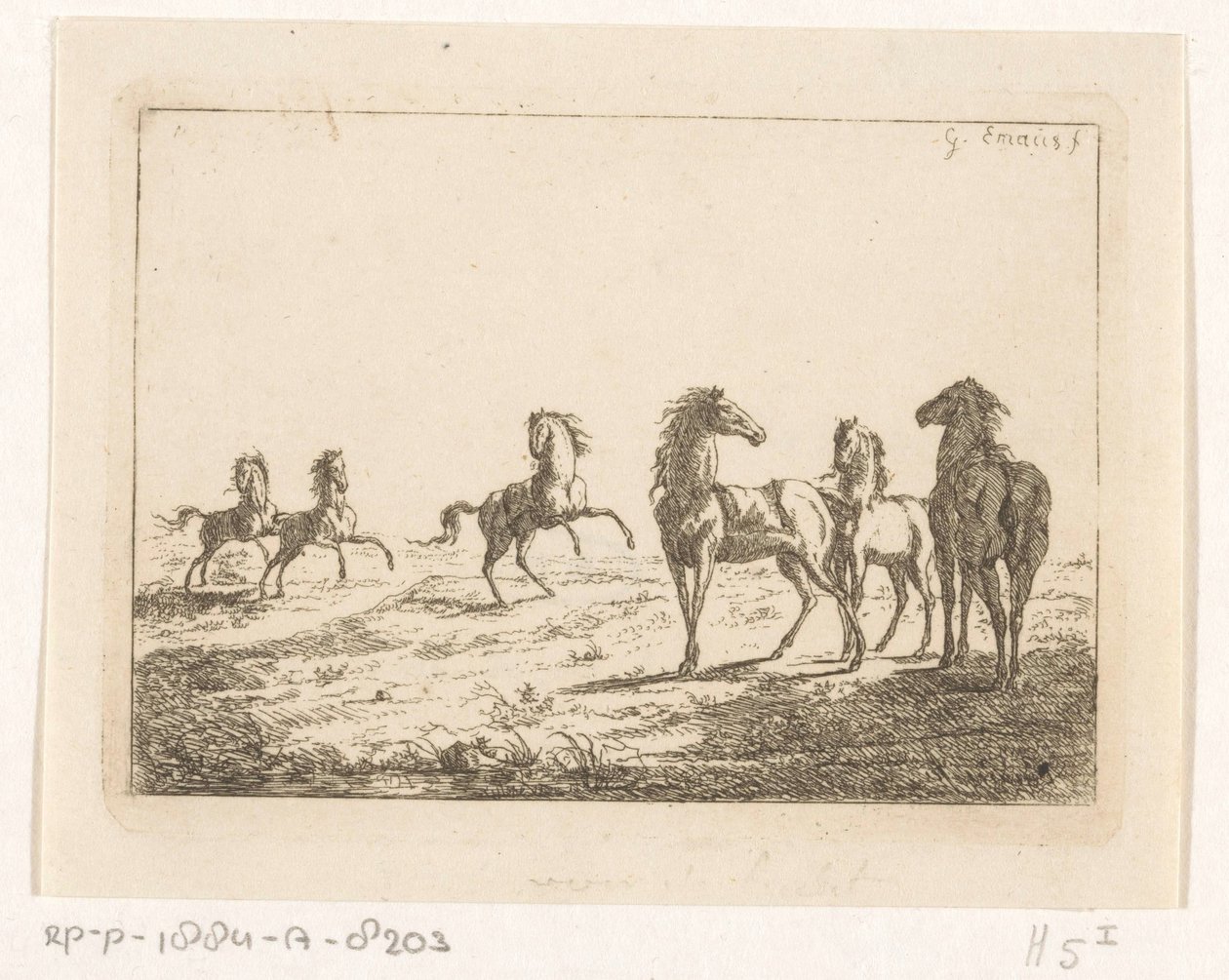 Branco di cavalli selvaggi da Gerardus Emaus de Micault