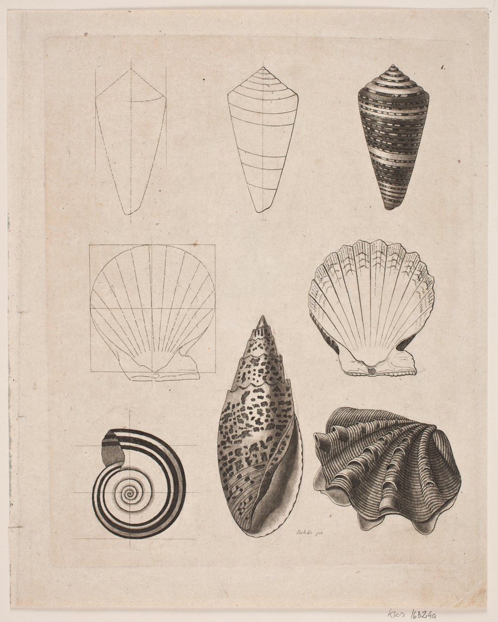 Tavola con lumache da Gerhard Ludvig Lahde