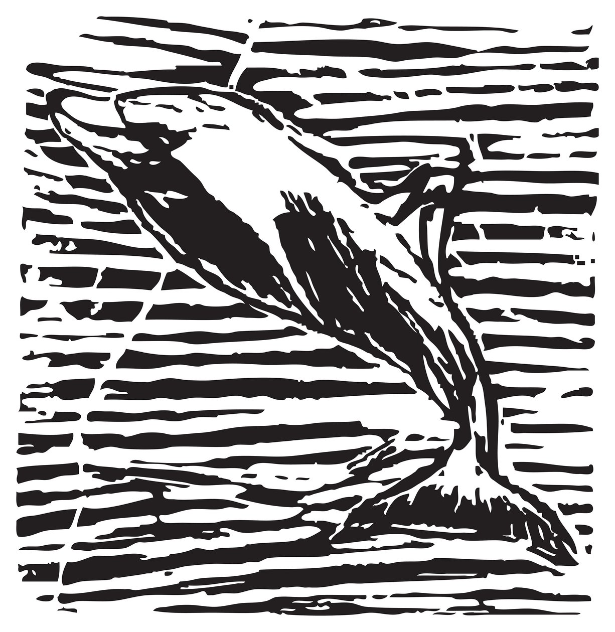Delfino da Gerhardt Isringhaus