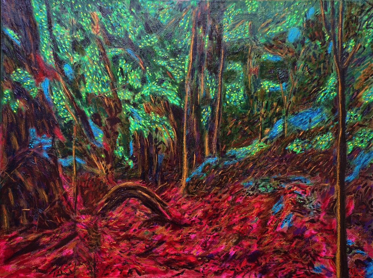 Giungla Messicana, 2019 da Gerhardt Isringhaus