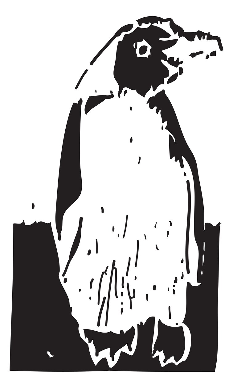 Pinguino da Gerhardt Isringhaus