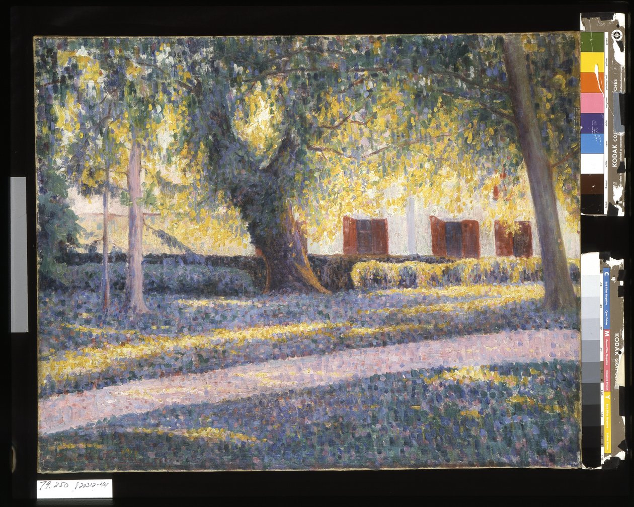 Sole sotto gli alberi da Germain Guibal