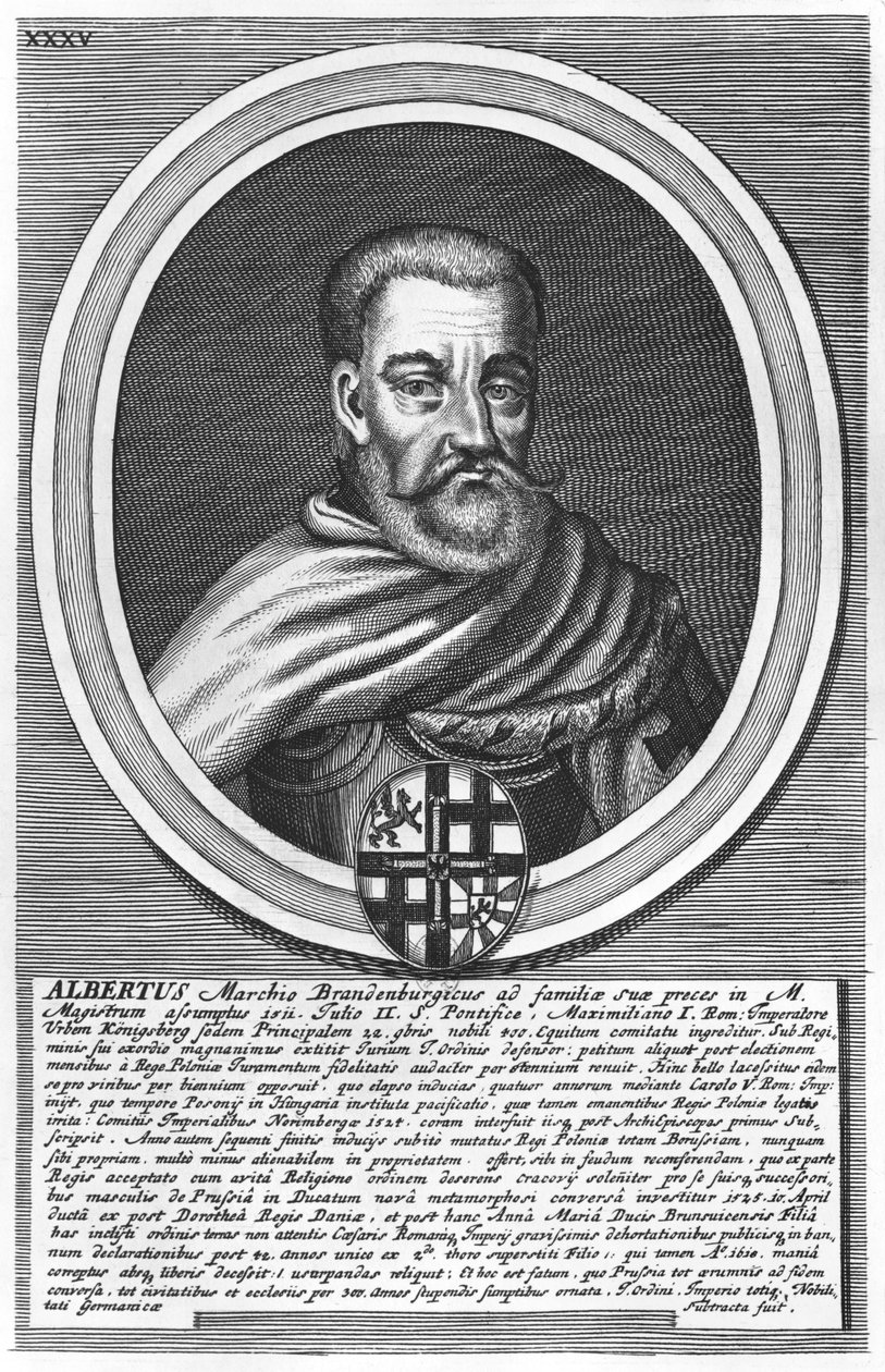 Alberto di Brandeburgo (xilografia) da German School