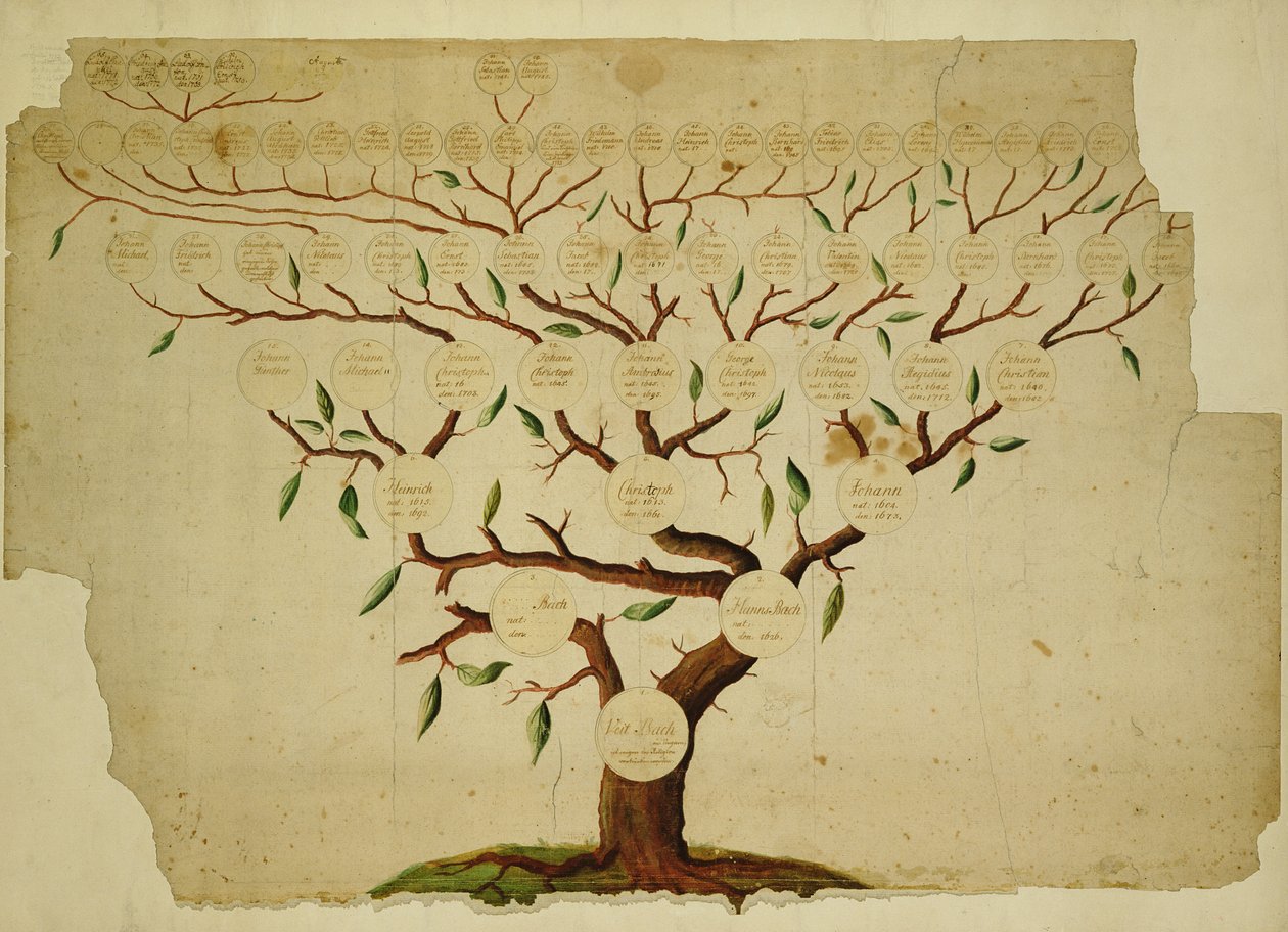 Albero genealogico della famiglia Bach da German School