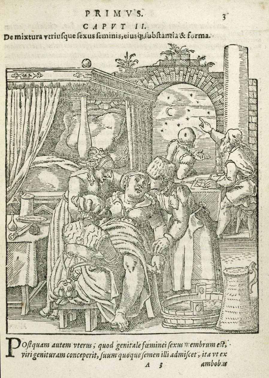 Una donna in travaglio, illustrazione dal capitolo 2, Libro 1 di Sulla concezione e crescita dell