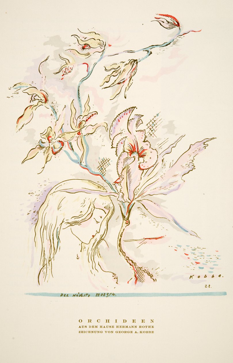 Pubblicità "Orchideen aus dem Hause Hermann Roth" da Styl, pub.1922 (stampa a pochoir) da German School