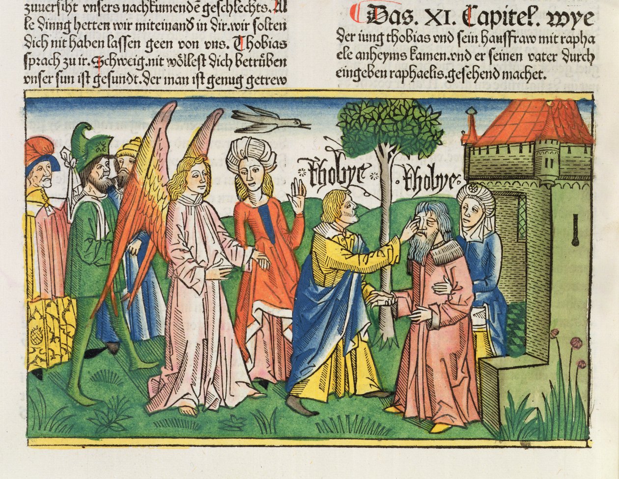 Apocrifi: Tobia restituisce la vista a suo padre Tobit con la bile di un pesce, dalla Bibbia di Norimberga (Biblia Sacra Germanaica) da German School