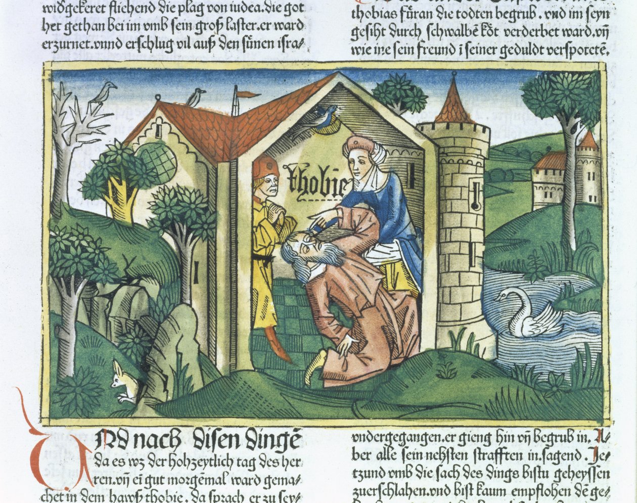 Apocrifi: Tobia è accecato dagli escrementi dei passeri, dalla Bibbia di Norimberga (Biblia Sacra Germanaica) da German School