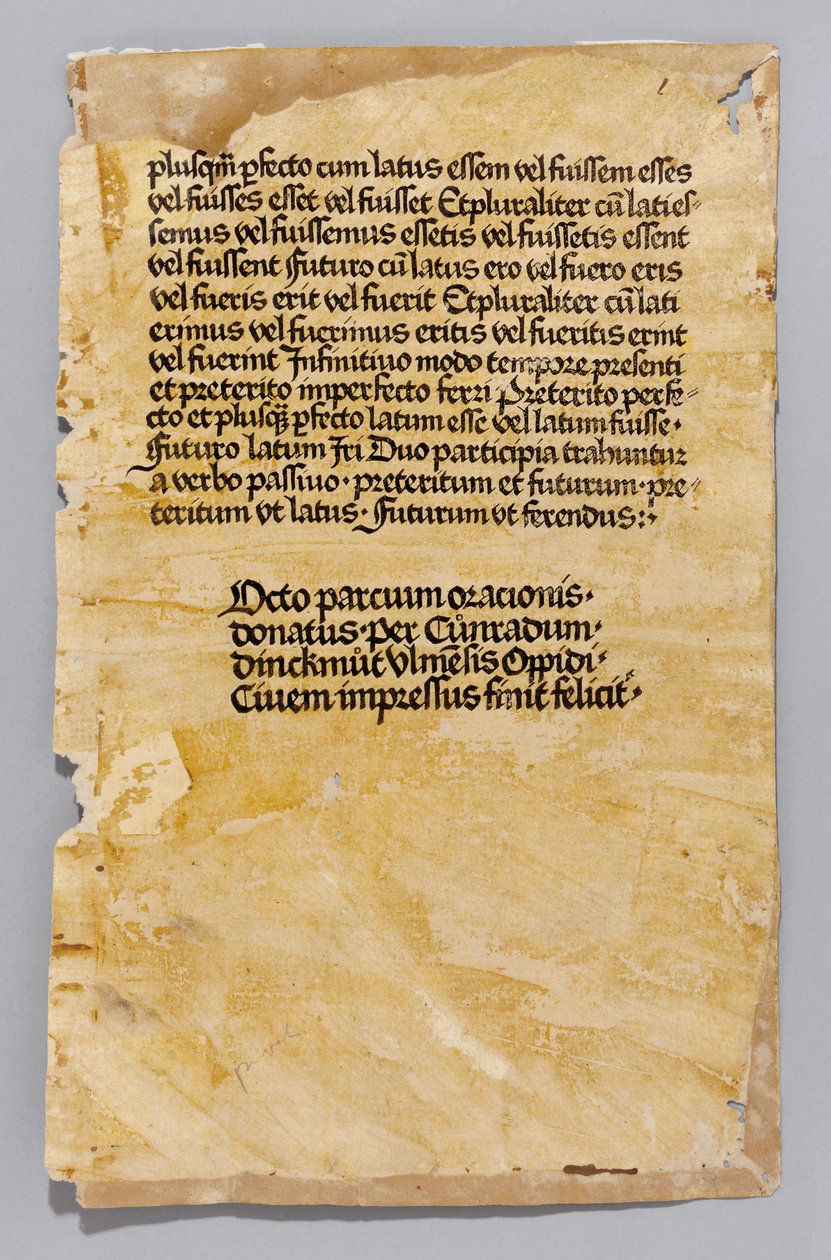 Ars Minor di Aelius Donatus, stampato da Konrad Dinckmut, Ulm, c.1476-80 da German School