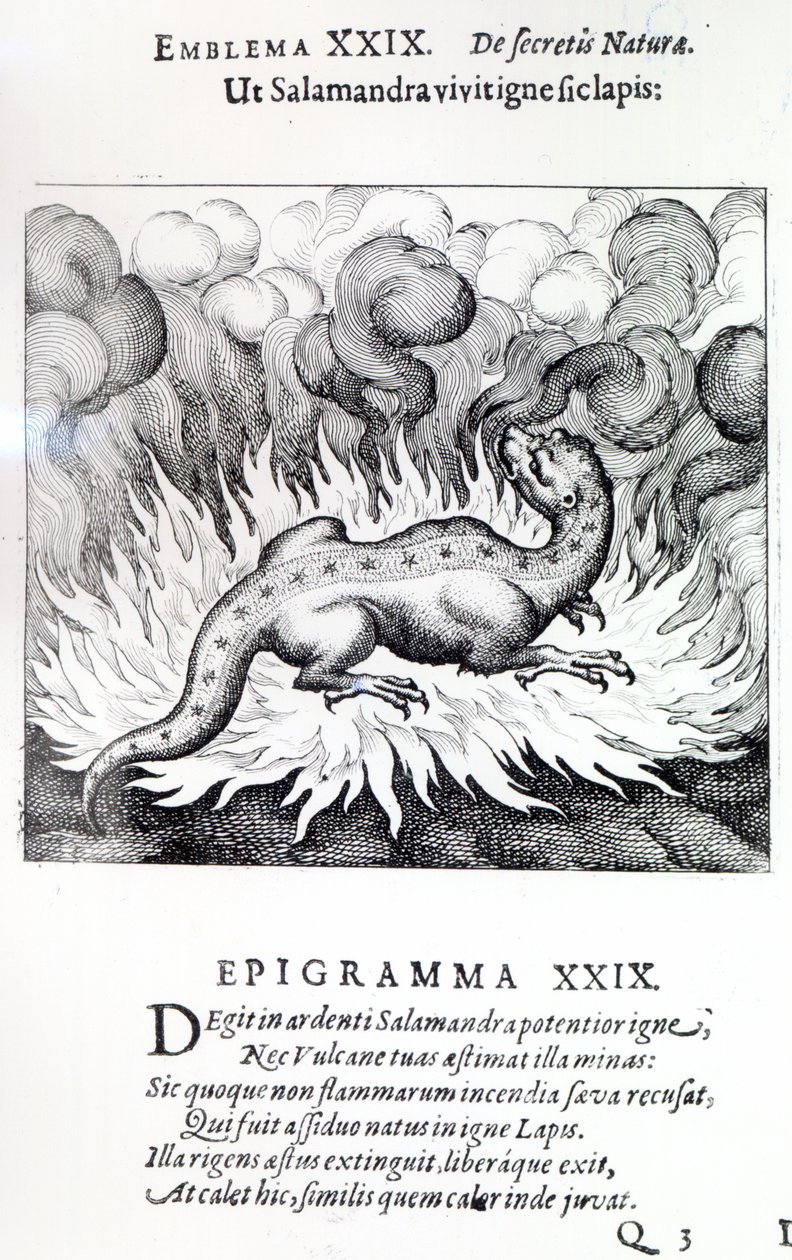 Come la salamandra vive nel fuoco, così anche la pietra, Emblema XXIX da Atalanta fugiens di Michael Maier, 1617 da German School