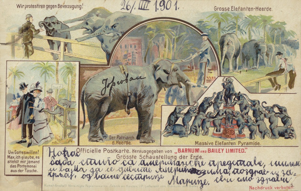 Il circo Barnum e Bailey (litografia a colori) da German School