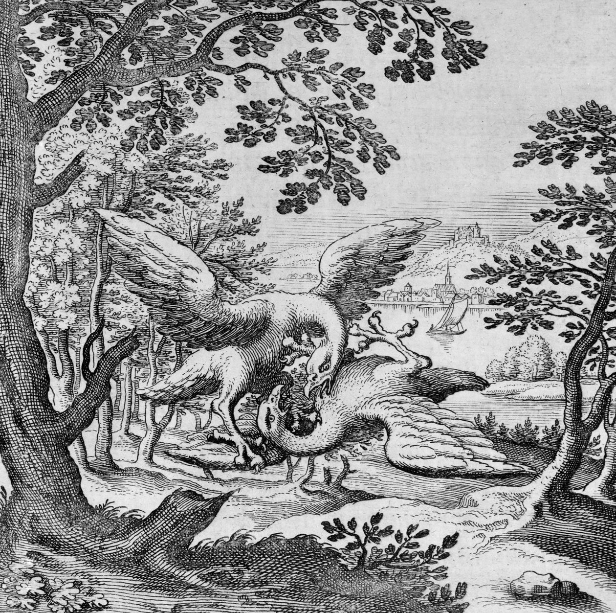 Uccelli che combattono dal Musaeum Hermeticum da German School
