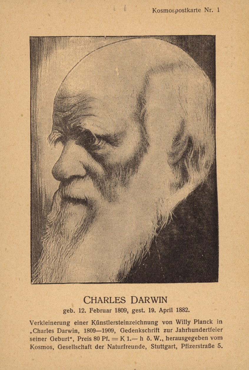 Charles Darwin (1809-1882), naturalista inglese (litografia) da German School