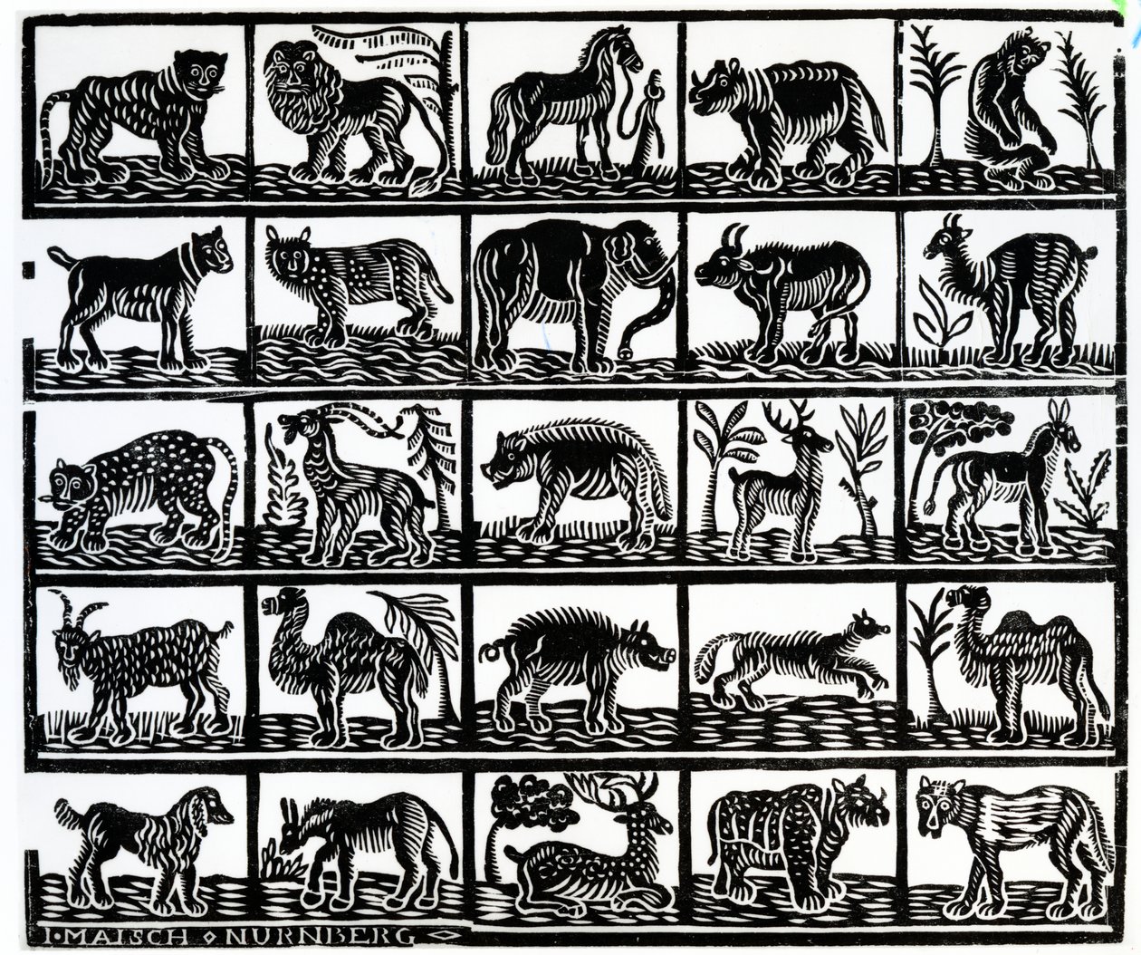 Collezione di animali da German School
