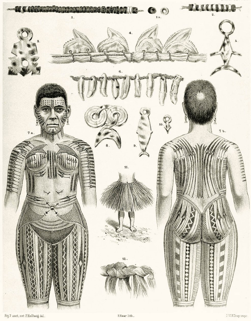 Diagramma che mostra gioielli, ornamenti e disegni di tatuaggi polinesiani, 1888 da German School